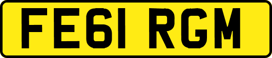 FE61RGM