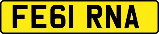 FE61RNA