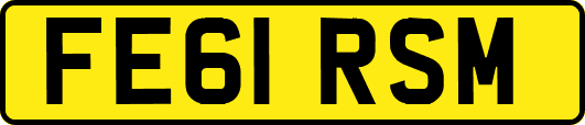 FE61RSM