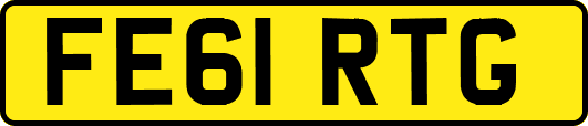 FE61RTG
