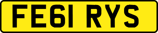 FE61RYS