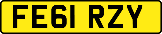 FE61RZY