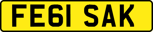 FE61SAK