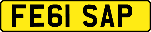 FE61SAP