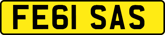 FE61SAS