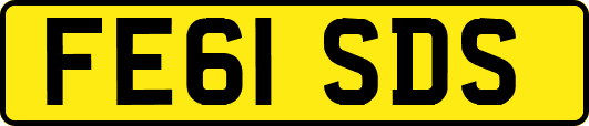 FE61SDS