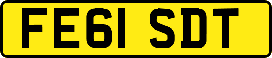 FE61SDT