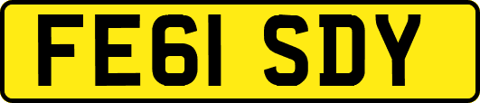 FE61SDY