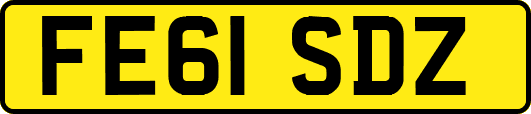 FE61SDZ
