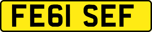 FE61SEF