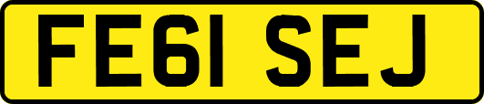 FE61SEJ