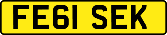 FE61SEK