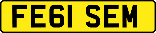 FE61SEM