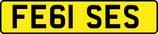 FE61SES