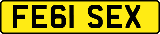 FE61SEX