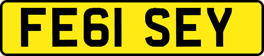 FE61SEY