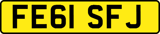 FE61SFJ