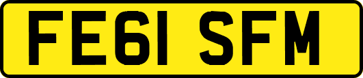 FE61SFM