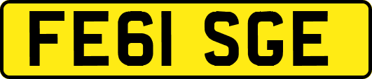 FE61SGE