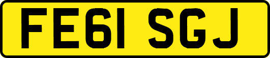 FE61SGJ