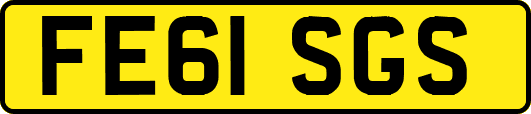 FE61SGS