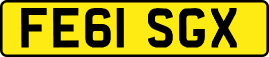 FE61SGX