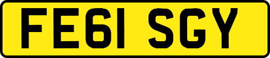 FE61SGY