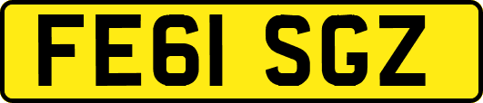 FE61SGZ