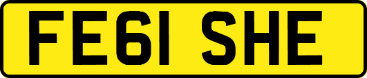 FE61SHE