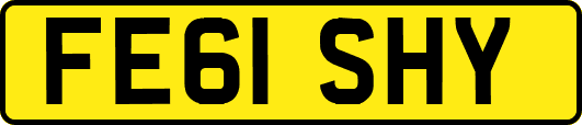 FE61SHY