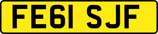 FE61SJF