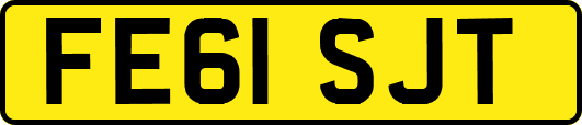 FE61SJT