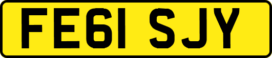 FE61SJY