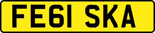 FE61SKA