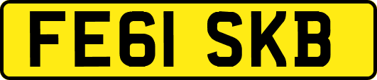 FE61SKB