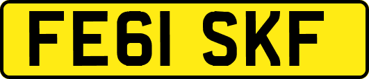 FE61SKF