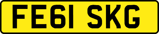 FE61SKG