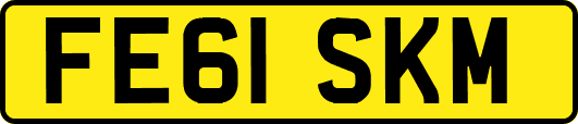 FE61SKM