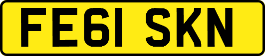 FE61SKN