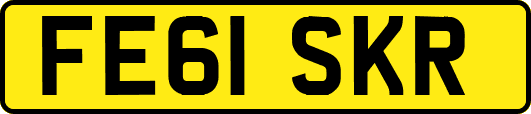 FE61SKR