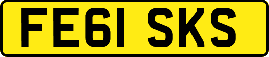 FE61SKS