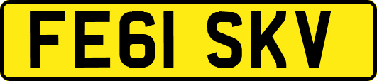 FE61SKV
