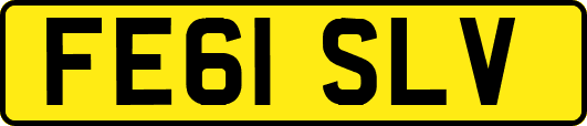 FE61SLV
