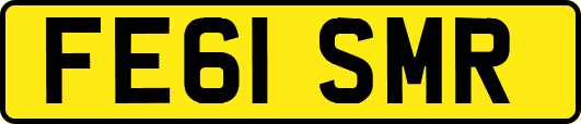 FE61SMR