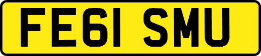 FE61SMU