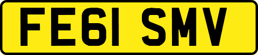 FE61SMV