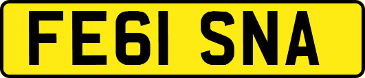 FE61SNA