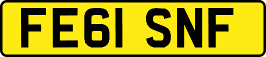 FE61SNF