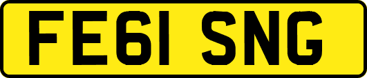 FE61SNG
