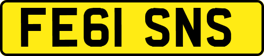 FE61SNS
